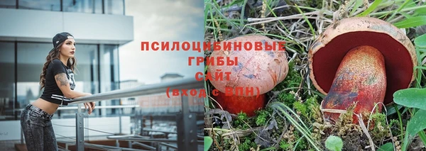 a pvp Абаза