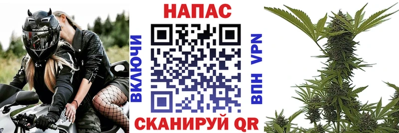 Бошки Шишки тримм  Яблоновский 